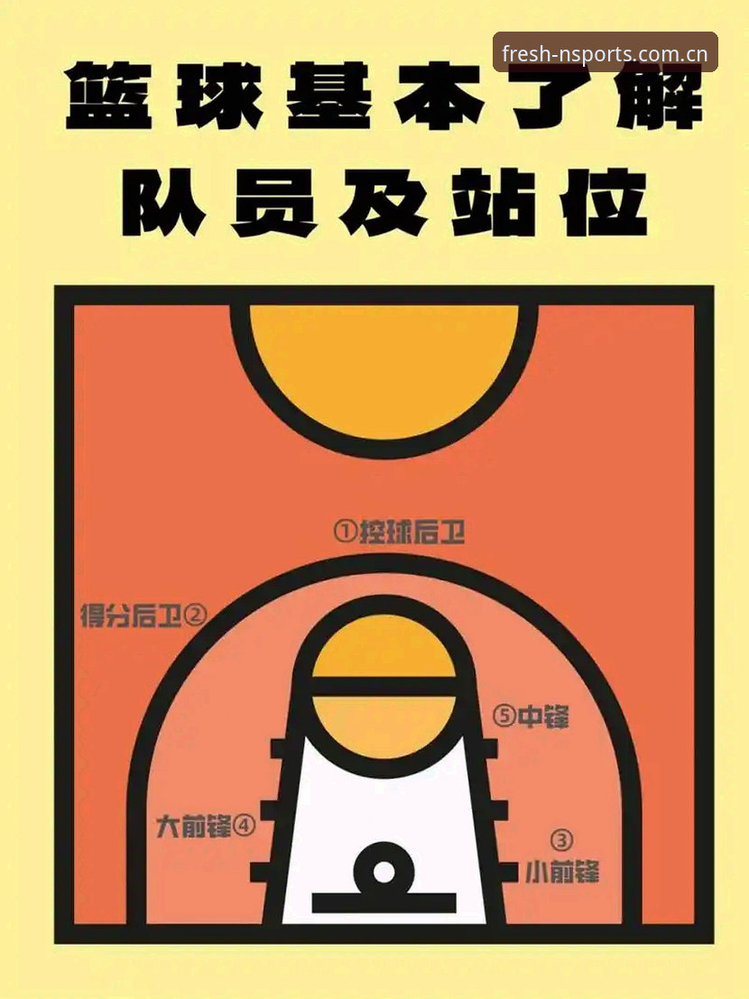 N体育中文官方主页新版首页的6个关键变化，篮球数据爱好者应该知道的
