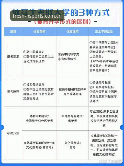N体育中文官方主页兼容版详解与体验分享